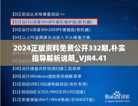 2024正版资料免费公开332期,朴实指导解析说明_VJR4.41