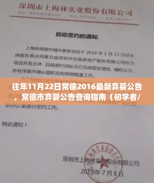 常德市弃婴公告查询指南，从初学者到进阶用户适用的指南（以常德市弃婴公告为例，针对往年弃婴公告查询）