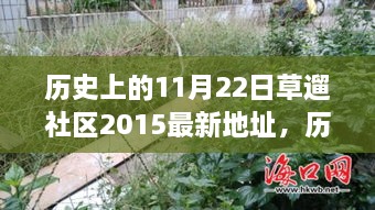 历史上的11月22日，草遛社区2015最新地址的全面评测与介绍