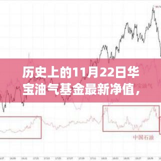 华宝油气基金最新净值揭秘，历史、特色小店与独特环境的探秘之旅