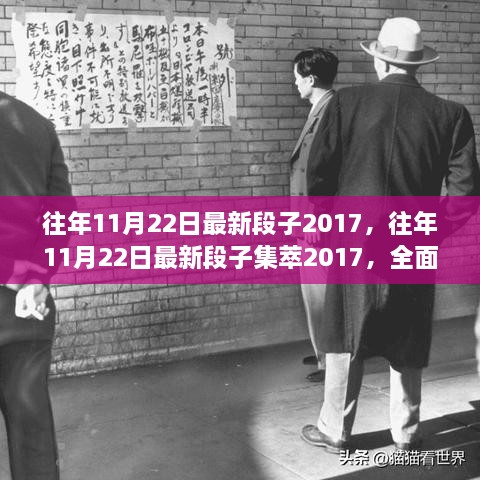 历年11月22日最新段子集萃 2017年全面测评与介绍