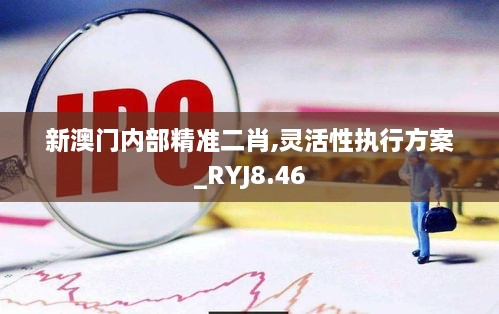 新澳门内部精准二肖,灵活性执行方案_RYJ8.46