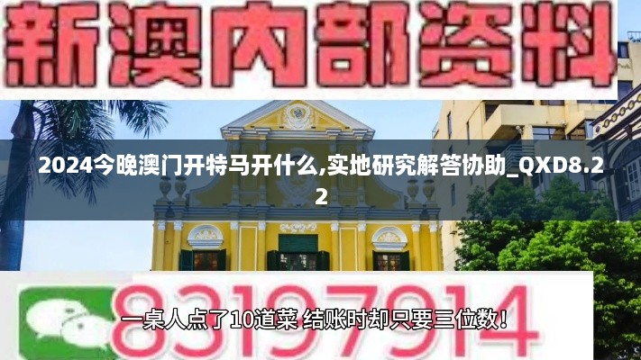 2024今晚澳门开特马开什么,实地研究解答协助_QXD8.22