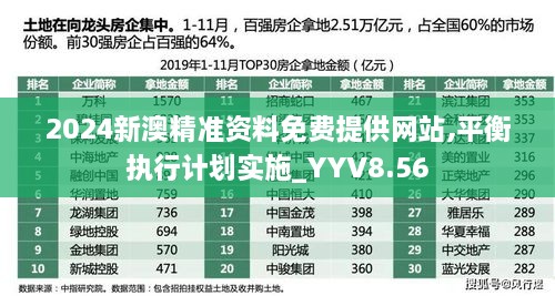 2024新澳精准资料免费提供网站,平衡执行计划实施_YYV8.56