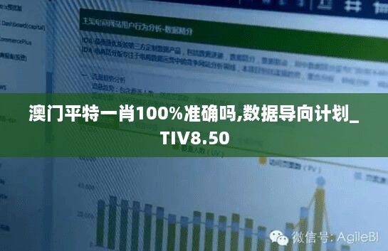 澳门平特一肖100%准确吗,数据导向计划_TIV8.50