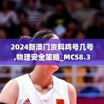 2024新澳门资料鸡号几号,物理安全策略_MCS8.32