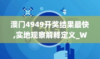 澳门4949开奖结果最快,实地观察解释定义_WTE8.11