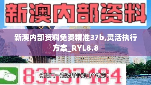 新澳内部资料免费精准37b,灵活执行方案_RYL8.8