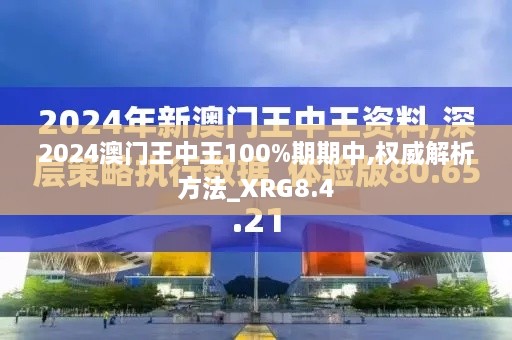 2024澳门王中王100%期期中,权威解析方法_XRG8.4