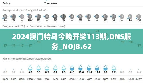 2024澳门特马今晚开奖113期,DNS服务_NOJ8.62