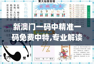 新澳门一码中精准一码免费中特,专业解读操行解决_JNU8.89