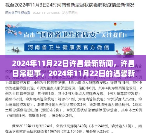 许昌日常趣事与温馨新闻回顾，2024年11月22日许昌最新新闻