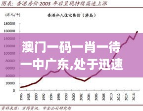 澳门一码一肖一待一中广东,处于迅速响应执行_IJQ8.39