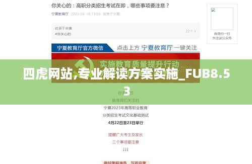 四虎网站,专业解读方案实施_FUB8.53