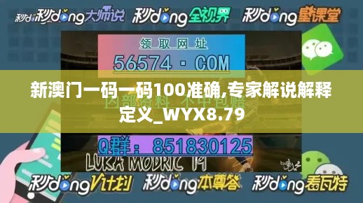 新澳门一码一码100准确,专家解说解释定义_WYX8.79