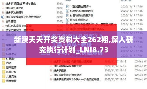 新澳天天开奖资料大全262期,深入研究执行计划_LNI8.73