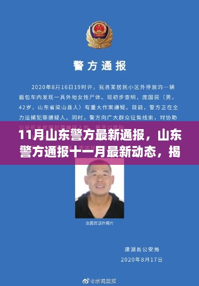 山东警方十一月最新动态通报，揭示背景与重大事件及其深远影响