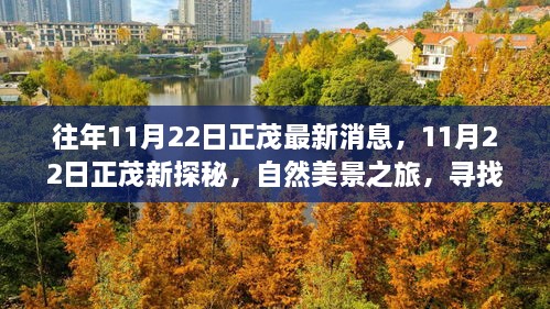 11月22日正茂新探秘，自然美景之旅，寻找内心宁静与平和的奇妙之旅