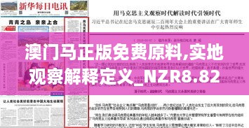 澳门马正版免费原料,实地观察解释定义_NZR8.82