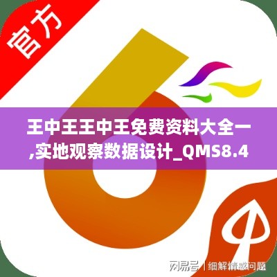 王中王王中王免费资料大全一,实地观察数据设计_QMS8.4