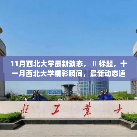 十一月西北大学最新动态速递，精彩瞬间全记录