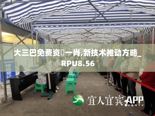 大三巴免费资枓一肖,新技术推动方略_RPU8.56