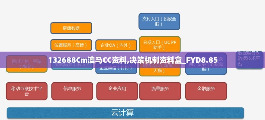 132688Cm澳马CC资料,决策机制资料盒_FYD8.85