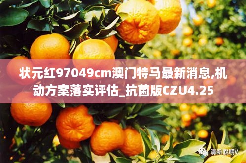 状元红97049cm澳门特马最新消息,机动方案落实评估_抗菌版CZU4.25