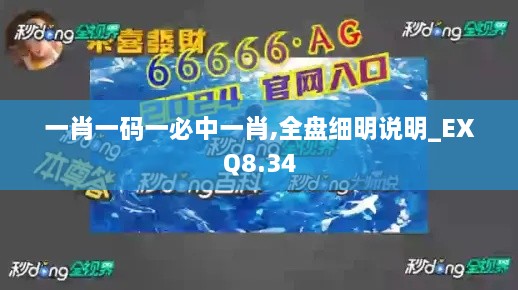 一肖一码一必中一肖,全盘细明说明_EXQ8.34