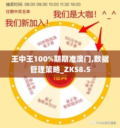 王中王100%期期准澳门,数据管理策略_ZKS8.5