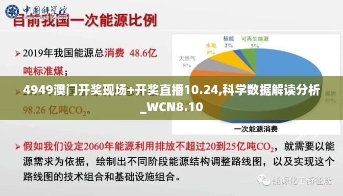 4949澳门开奖现场+开奖直播10.24,科学数据解读分析_WCN8.10