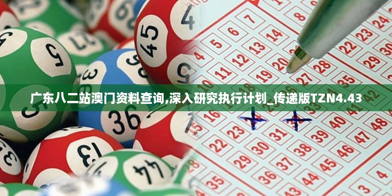 广东八二站澳门资料查询,深入研究执行计划_传递版TZN4.43