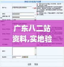 广东八二站资料,实地验证实施_SFG8.87