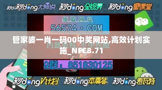 管家婆一肖一码00中奖网站,高效计划实施_NFC8.71