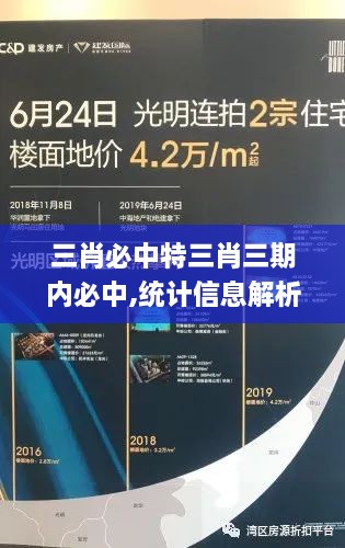 三肖必中特三肖三期内必中,统计信息解析说明_NLJ8.6