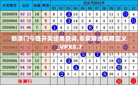 新澳门今晚开奖结果查询,专家解说解释定义_VPX8.7