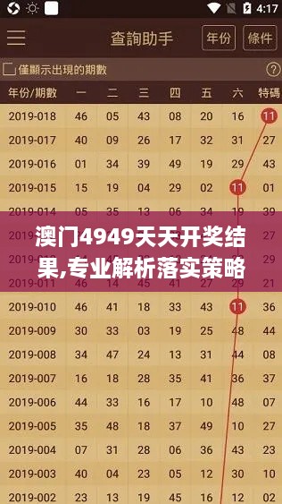 澳门4949天天开奖结果,专业解析落实策略_七天版NZN5.73