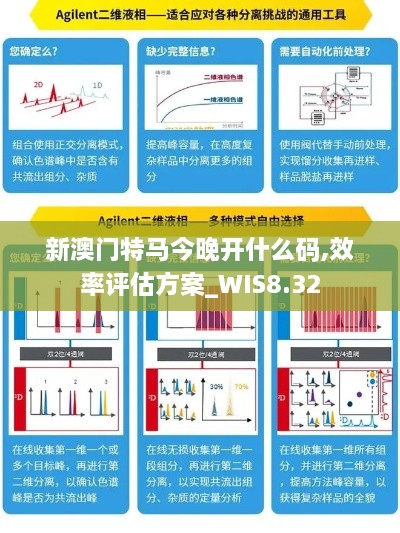 新澳门特马今晚开什么码,效率评估方案_WIS8.32