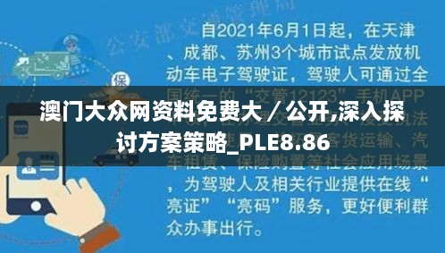 澳门大众网资料免费大／公开,深入探讨方案策略_PLE8.86