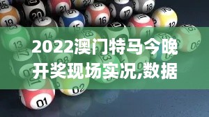 2022澳门特马今晚开奖现场实况,数据引导执行策略_YHK8.85