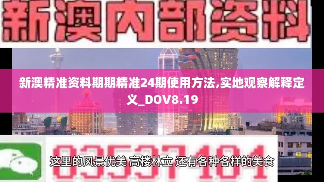 新澳精准资料期期精准24期使用方法,实地观察解释定义_DOV8.19