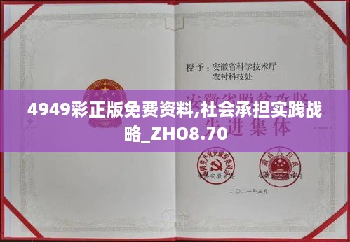 4949彩正版免费资料,社会承担实践战略_ZHO8.70