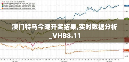 澳门特马今晚开奖结果,实时数据分析_VHB8.11