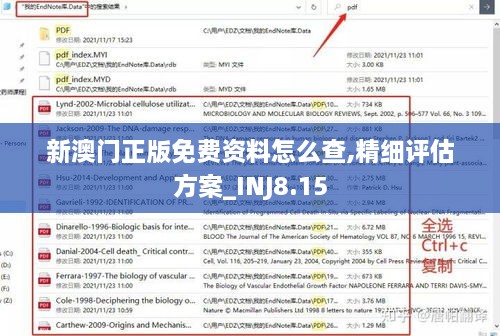 新澳门正版免费资料怎么查,精细评估方案_INJ8.15