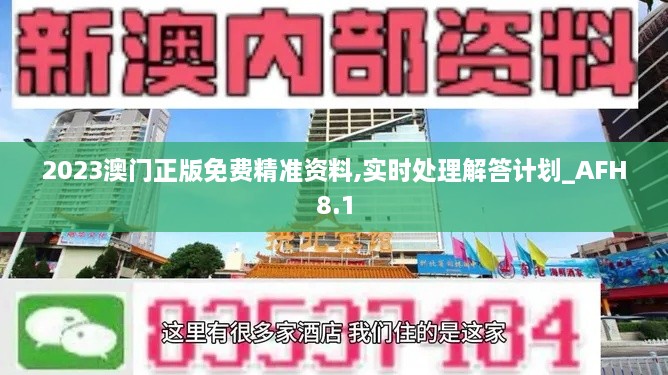 2023澳门正版免费精准资料,实时处理解答计划_AFH8.1