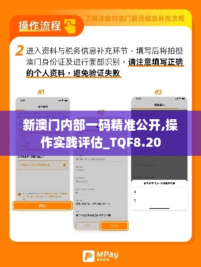 新澳门内部一码精准公开,操作实践评估_TQF8.20