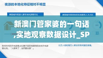 新澳门管家婆的一句话,实地观察数据设计_SPG8.11