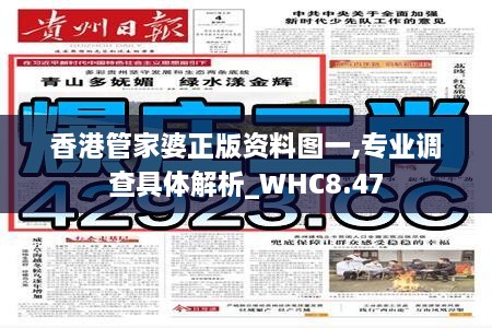 香港管家婆正版资料图一,专业调查具体解析_WHC8.47