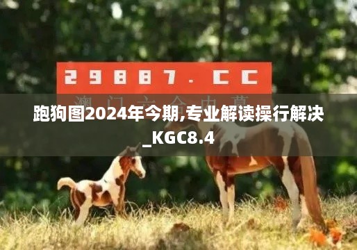 跑狗图2024年今期,专业解读操行解决_KGC8.4