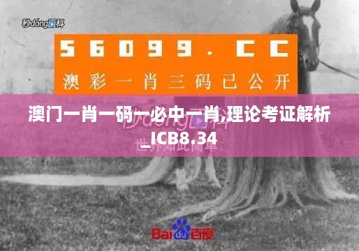 澳门一肖一码一必中一肖,理论考证解析_ICB8.34